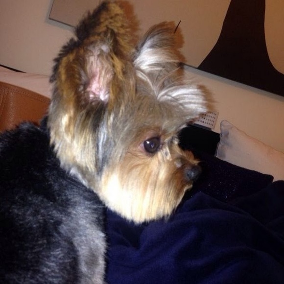 Meet your Posher, Ines - Picture 1 of 1